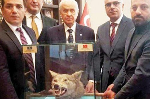 Baxçalıya qeyri-adi hədiyyə verildi - FOTO