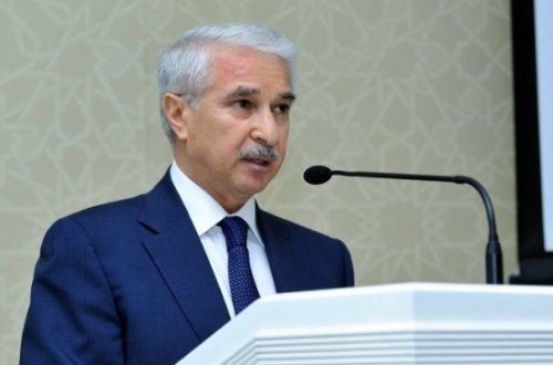 Nazir müavini: İnzibatçılıqla olsaydı, indiyə qədər olardı