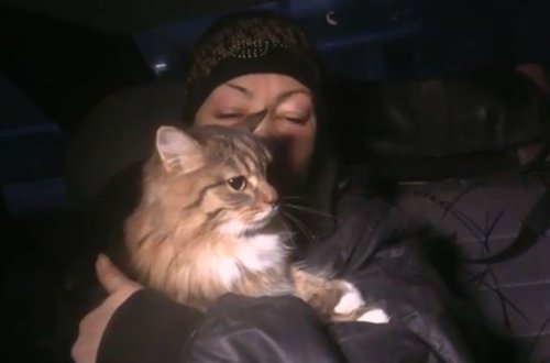 Rusiyada çökən binadan ev heyvanları xilas edildi - VİDEO