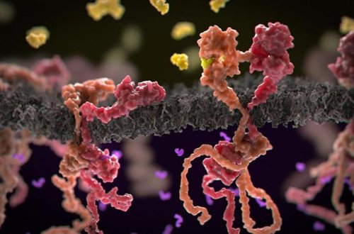 Xərçəng xəstəliyi ilə bağlı İNQİLABİ YENİLİK - Mükəmməl ARAŞDIRMA