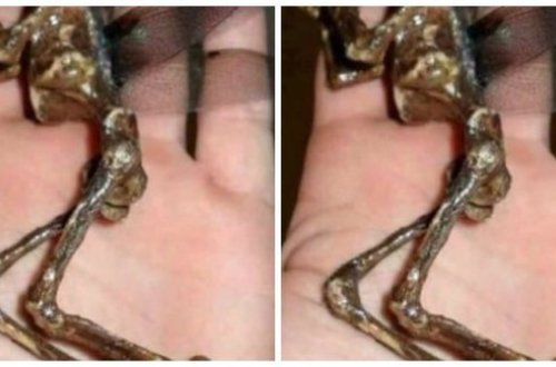 Sahildə qəribə varlıq tapıldı - Hamı ora axışdı / FOTOLAR