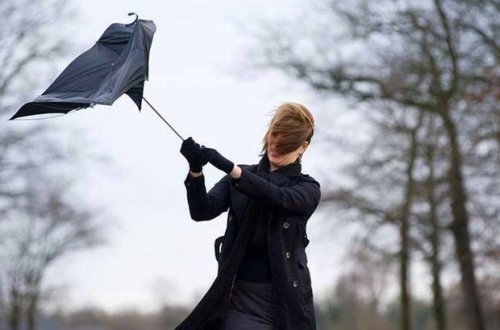 Sinoptiklər güclü külək vəd edirlər