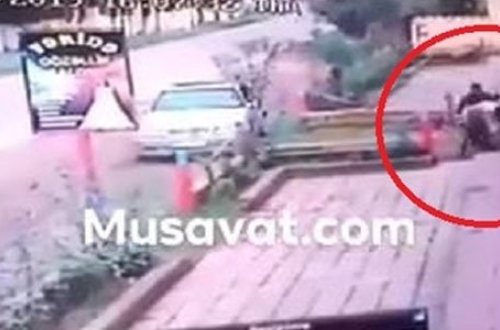 DİN-dən inəyin vəhşicəsinə öldürülməsinə münasibət (VİDEO)