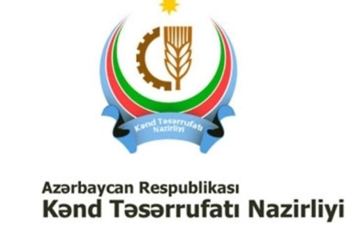 Anar Hüseynova YÜKSƏK VƏZİFƏ VERİLDİ