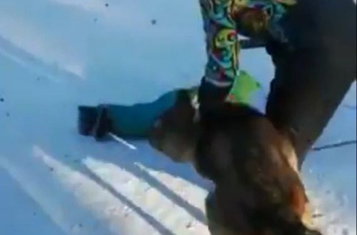 Rusiyada canavar uşağa hücum etdi - VİDEO