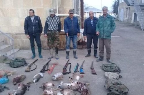 Dovşan ovçuları “ovlandılar”