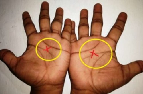 Baxın, ovucunuzun ortasında 