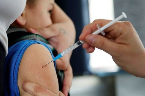 “Donuz qripi” Gürcüstanı cənginə alıb: ölənlərin sayı artır