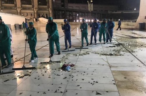 Minlərlə tarakan və çəyirtkə Məkkəyə hücum etdi - Dövlət qurumları HƏRƏKƏTƏ KEÇDİ - FOTO/VİDEO