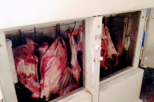 Knyazın evində mənşəyi naməlum ət aşkar edilib - FOTO