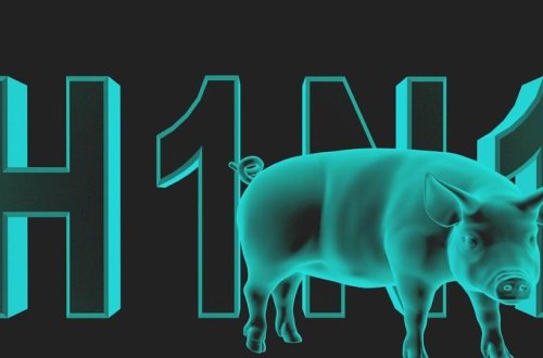 Gürcüstanda qripdən ölənlərin sayı 15-ə çatdı