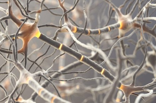 Bu vitamin virusları məhv edir