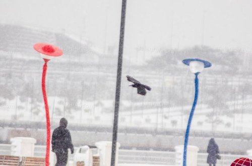 Hava KƏSKİN DƏYİŞİR: temperatur 10 dərəcə enəcək, Bakıya İLK QAR YAĞACAQ