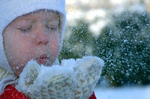 Yanvarın 17-də uşaqları bağçaya aparmayın - XƏBƏRDARLIQ