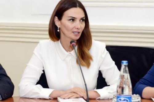 Qənirə Paşayeva MM-in Səhiyyə Komitəsində əhalinin sağlamlığı ilə bağlı bir sıra vacib təkliflərlə çıxış edib