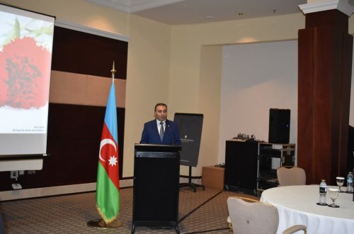 Qanlı Yanvar faciəsinin qurbanlarının xatirəsi Abu-Dabidə də anılıb