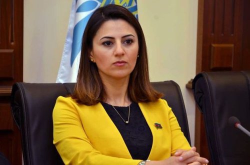 Deputat: Onlar kim olduğumuzu asanlıqla müəyyən edir