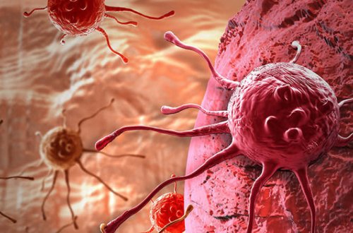 Ehtiyatlı olun: Bu qidalar xərçəng yarada bilər