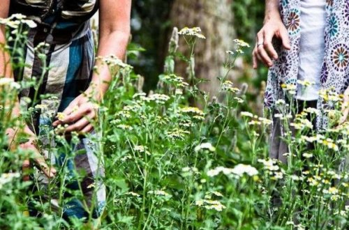 Əksər xəstəliklərin müalicəsi ayağımızın altındadır - VİDEO