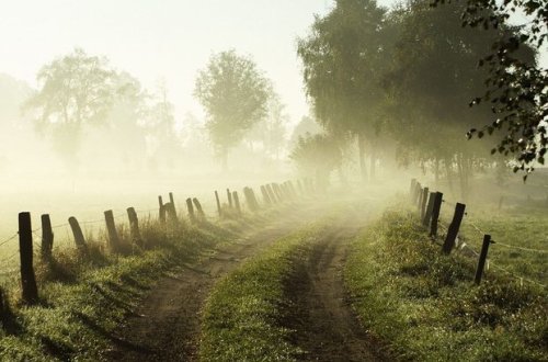 Sinoptiklər dumanlı hava vəd edirlər