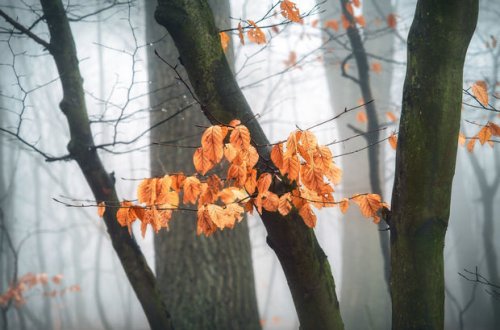 Fevralın ilk gününə olan hava proqnozu