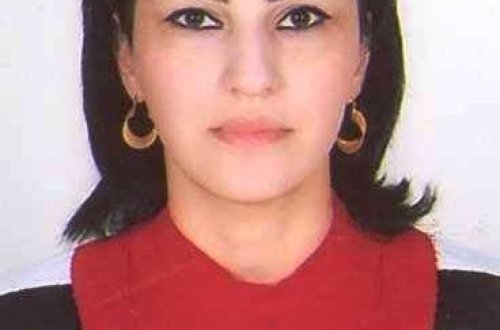 Qadınları xadimə işinə düzəltmək adı ilə Türkiyədə fahişəliyə cəlb edən Günay həbs edildi — FOTO