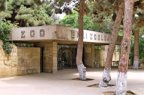 Bakı zooparkı müvəqqəti bağlanır