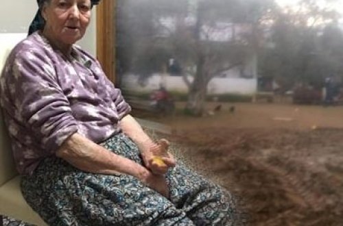 12 yaşlı uşaq nənəsini traktorla əzdi - FOTO