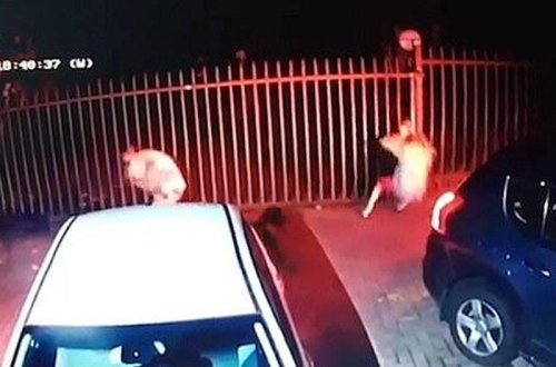 Şok kadrlar: qadının ərini həyətində, gözü qarşısında öldürdülər - VİDEO - FOTO