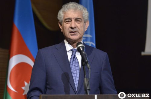 Əli Əhmədov: Bələdiyyə seçkilərində daha çox gənclər namizəd olacaq