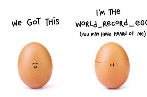 Rekord vuran yumurtanın kimliyi bəlli oldu - Fotolar