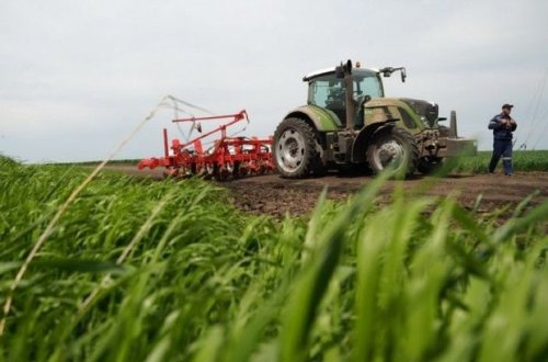 Kənd təsərrüfatı ilə məşğul olanlara - ŞAD XƏBƏR