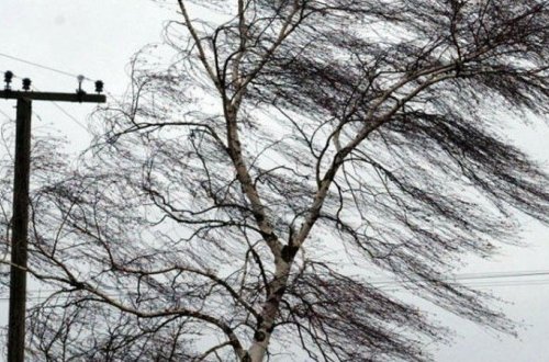 Sabah hava küləkli olacaq - PROQNOZ