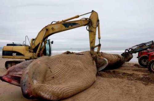 İNANILMAZ: Sosial media bu görüntülərdən danışır - FOTOLAR