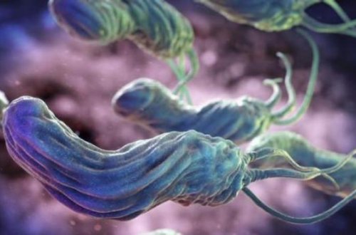 Xərçəngdən də QORXUNC XƏSTƏLİK: 24 saata öldürür - FOTO