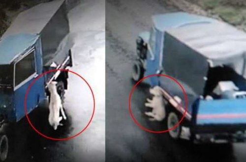 Belə alçaqlıq olmaz! Hər şey anbaan kamerada - FOTO