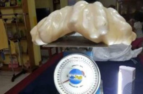 10 ildir yatağının altında saxlayırdı - Dəyəri 100 milyon dollar çıxdı/ VİDEO