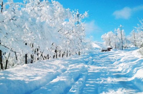 Azərbaycana kəskin soyuqlar gəlir, güclü yağış, qar yağacaq - Umayra Tağıyeva