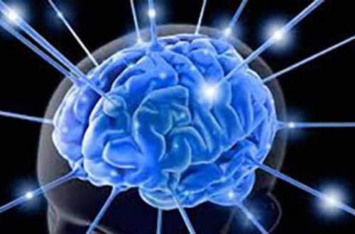 Ученые доказали, что женский мозг примерно на три года моложе мужского