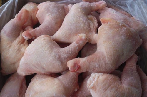 Dağıstanda azərbaycanlının qanunsuz biznesi aşkarlandı - VİDEO