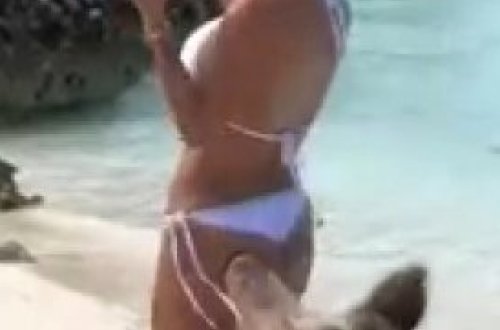 Donuz ağ bikinidə poz verən modelə hücum etdi - Görün nə hala saldı - VİDEO - FOTO