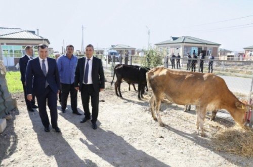 Nazir xəstə heyvanlardan danışdı, şirkətin adını yenə də AÇIQLAMADI