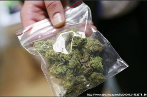 В Джалилабаде задержан наркодилер