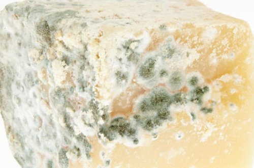 Bu pendirlər XƏRÇƏNG YARADIR - Dietoloqdan ŞOK XƏBƏRDARLIQ