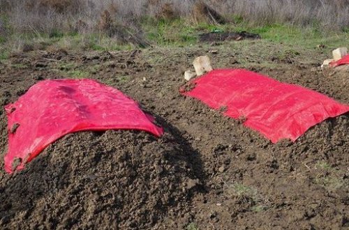 19 illik ər-arvadın sevgililər günündə intiharının DƏHŞƏTLİ TƏFƏRRÜATI - VİDEOREPORTAJ