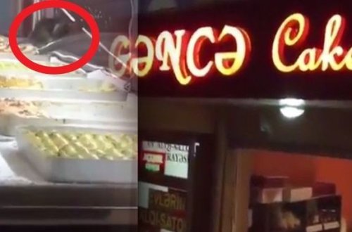 Vitrinində siçovullar gəzən şirniyyat evi bağlandı - VİDEO