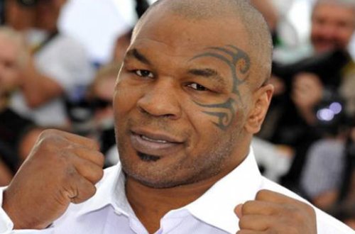 Tayson bu dəfə də qorilla ilə döyüşmək istədi