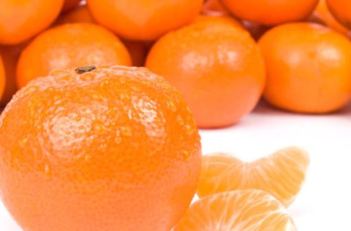 Azərbaycanda yeni çay, limon və naringi sortları yaradıldı