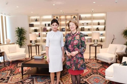 Birinci vitse-prezident Mehriban Əliyeva Böyük Britaniyanın Baş nazirinin Azərbaycan üzrə ticarət elçisi ilə görüşüb - FOTO