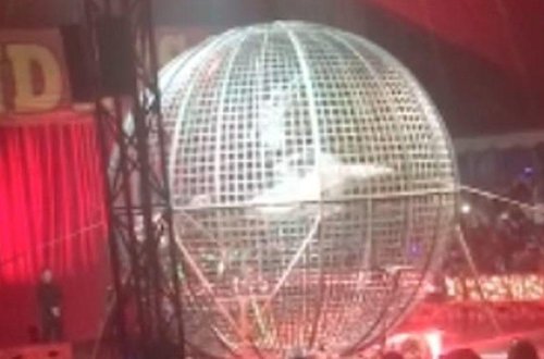 Şok kadrlar: sirkdə faciə yaşandı - VİDEO - FOTO